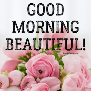 good morning beautiful