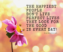 find the good in every day quote image