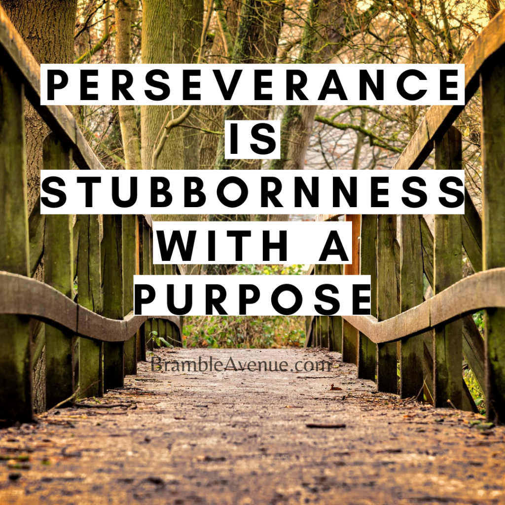 perseverance is stubbornness with a purpose
