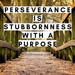 perseverance quote