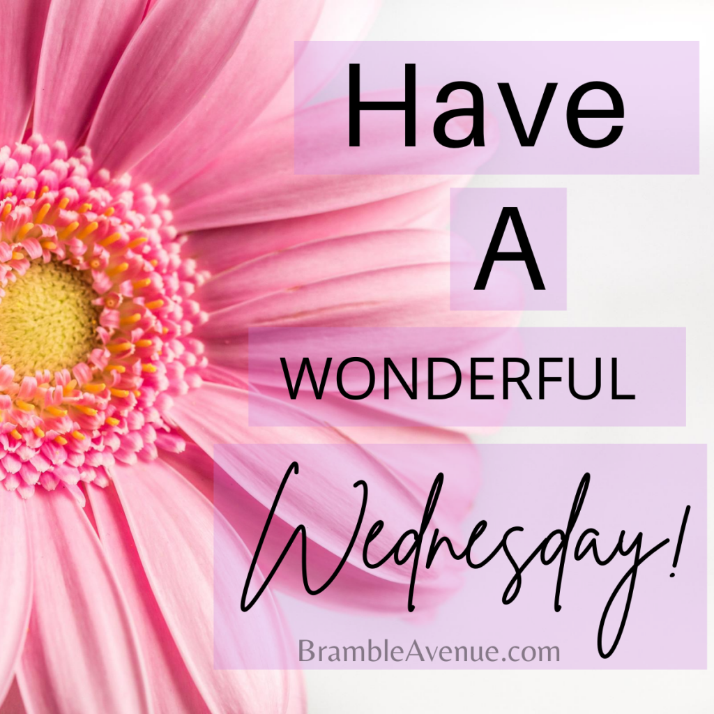 Wonderful Wednesday - Images and Quotes - Bramble Avenue