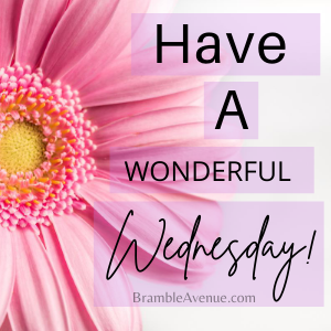 Wonderful Wednesday Image