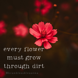 grow through dirt