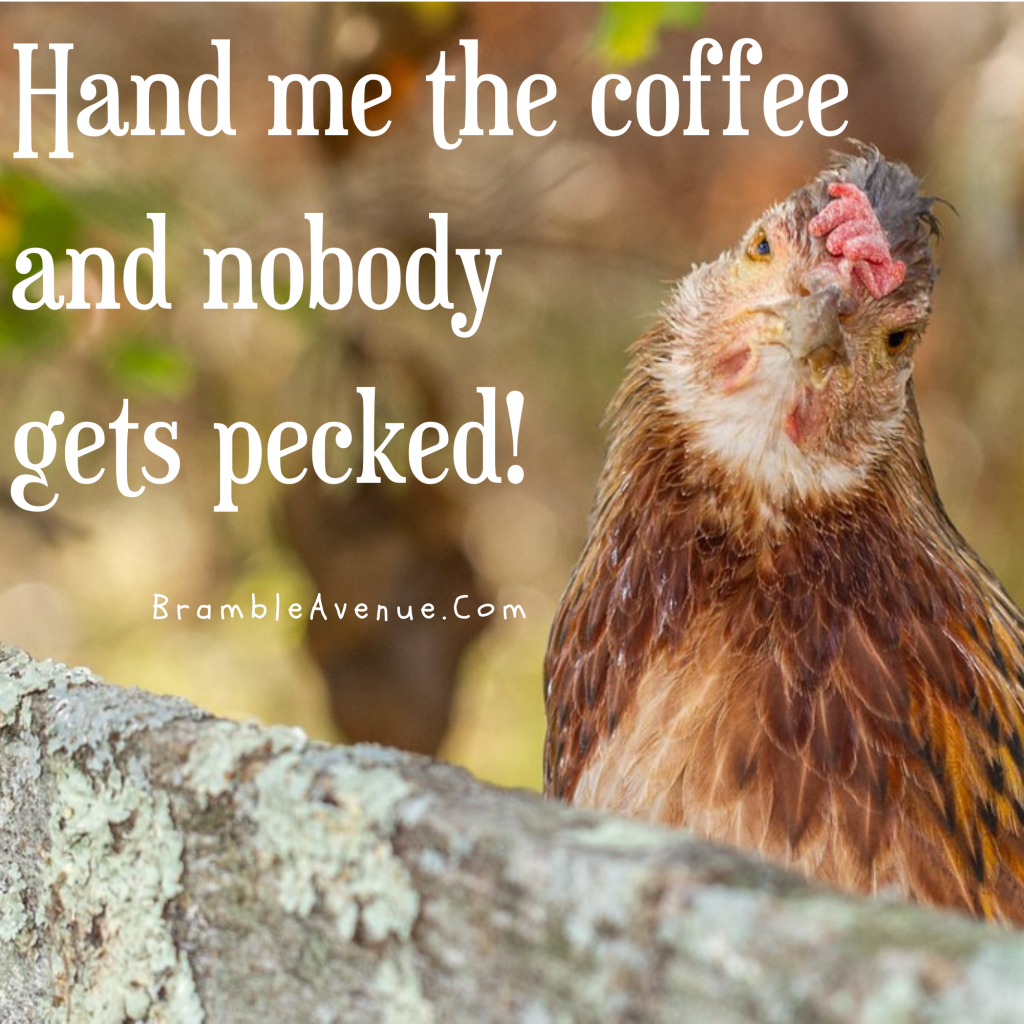 hand me the coffee nobody gets pecked funny morning image